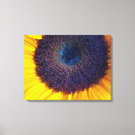 Solros med Blue Center Closeup Canvas Art