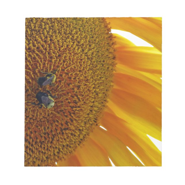 Solros med Bumblebees Anteckningsblock (Framsida)