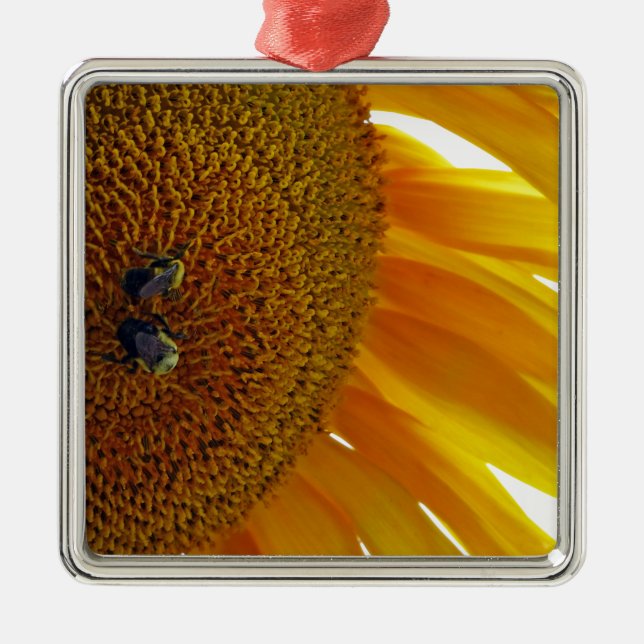 Solros med Bumblebees Julgransprydnad Metall (Framsidan)
