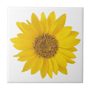 Solros med en ljusstark Gult Kakelplatta