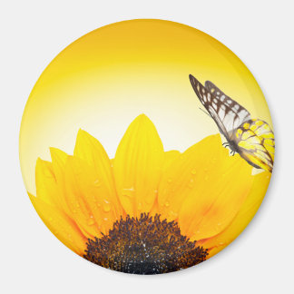 Solros med fjäril magnet