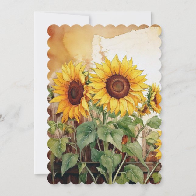 Solros Meddelande (Framsida)