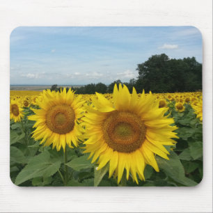 Solros Mousepad Musmatta