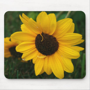 Solros Mousepad Musmatta