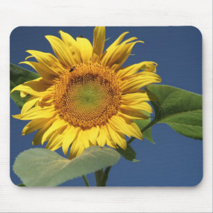 Solros Mousepad Musmatta