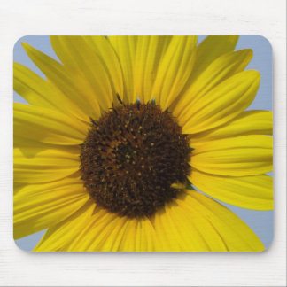 Solros Mousepad Musmatta