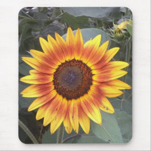 Solros Mousepad Musmatta