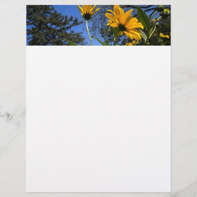 Solros N Himlar Letterhead (Framsida)