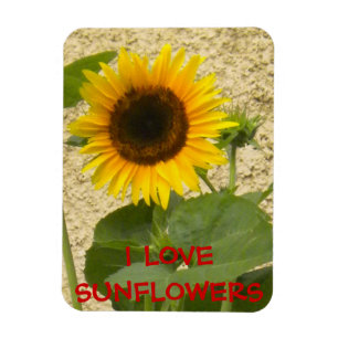 Solros N Stucco Fridge Magnet