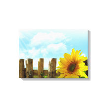 Solros Nature Beauty