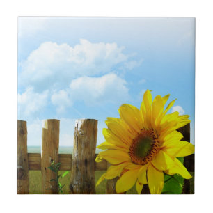 Solros Nature Beauty Kakelplatta