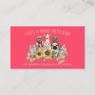 Solros Neon Rosa Dog Walker Cat Groomer Pet Visitkort