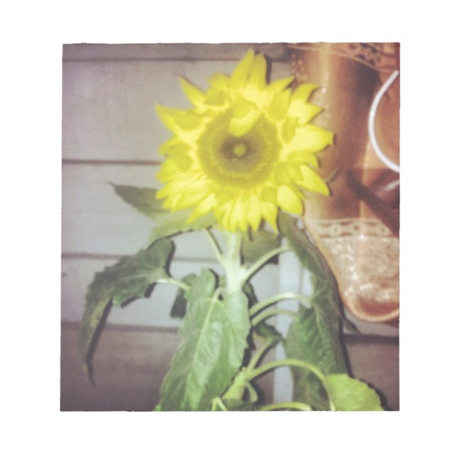 Solros nio på eftermiddagen anteckningsblock (Framsida)