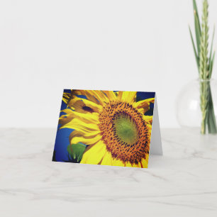 Solros och gästblomma Blankt anteckningskort