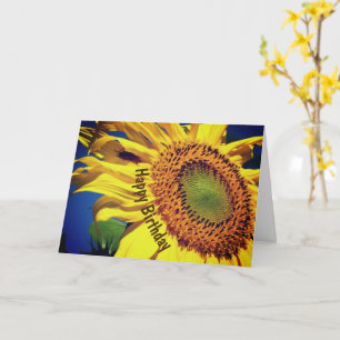 Solros och gästblomma kort