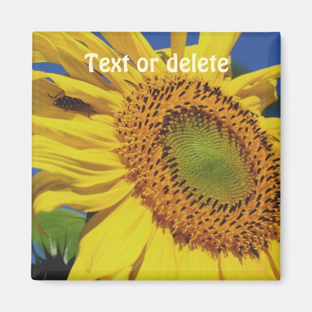 Solros och insektsgäst Personlig Magnet (Framsidan)