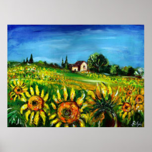 SOLROS OCH LANDSBYGD I TOSCANA POSTER