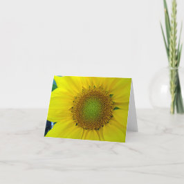 Solros och utsäde, Spiral, gyllene ratio Tack Kort