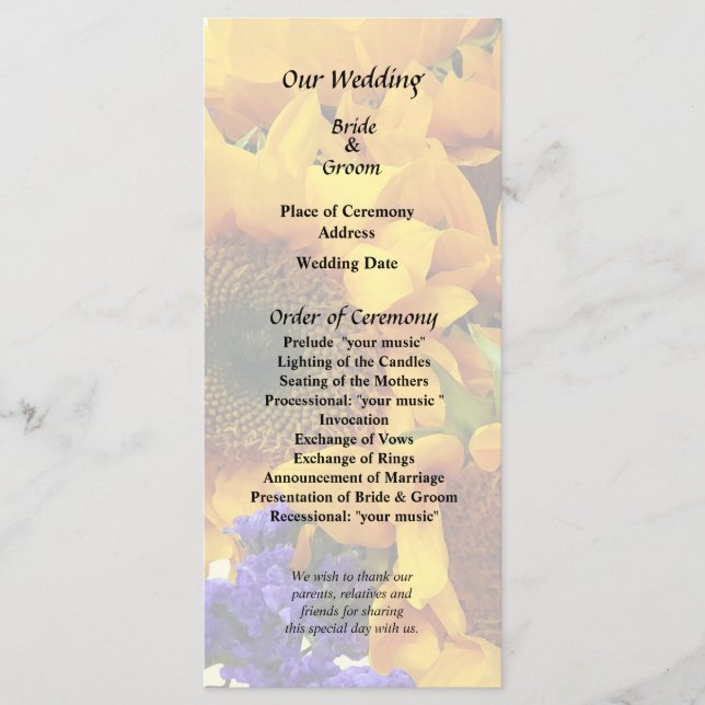 Solros- och violett statice-program program (Framsida)