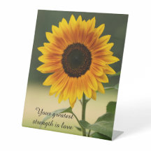 Solros Ord av Wisdom Pedestal Sign