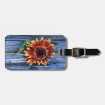 Solros på blåttstaket