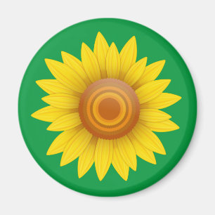 Solros på Grönt Magnet