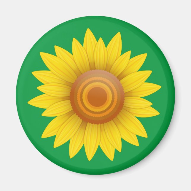Solros på Grönt Magnet (Framsidan)