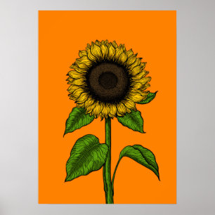 Solros på orange poster