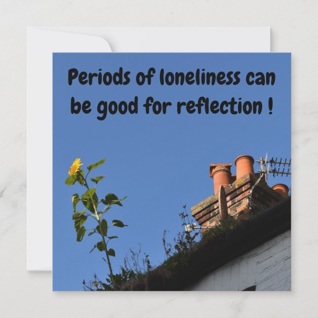 Solros på tak. (Framsida)