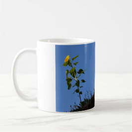 Solros på taket. kaffemugg