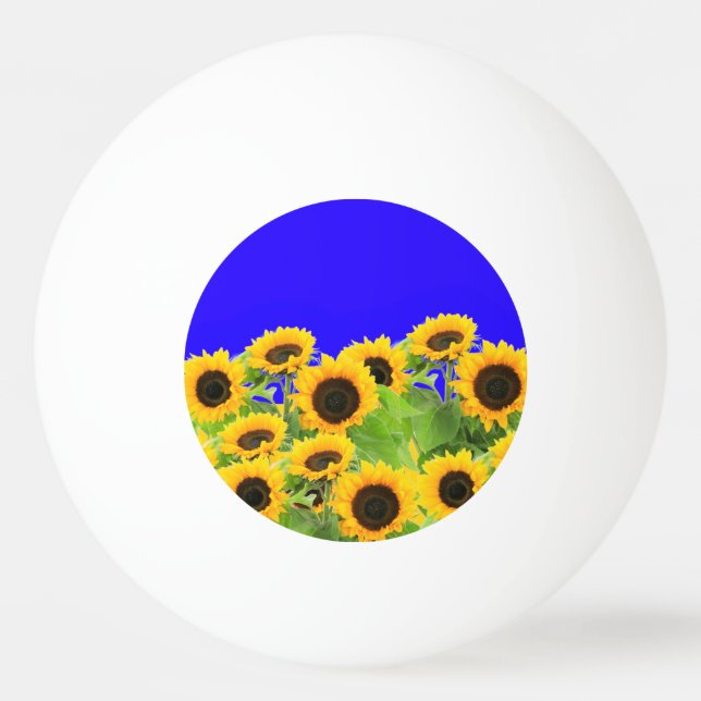 Solros Ping Pong Boll (Framsidan)