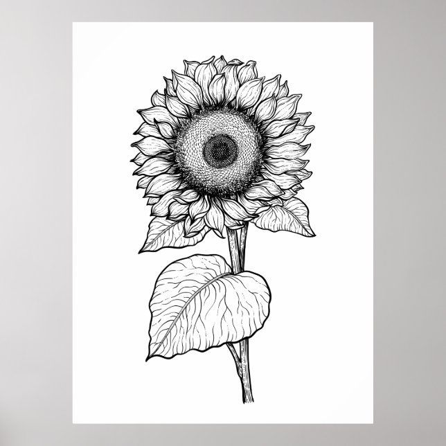 Solros Poster (Framsidan)