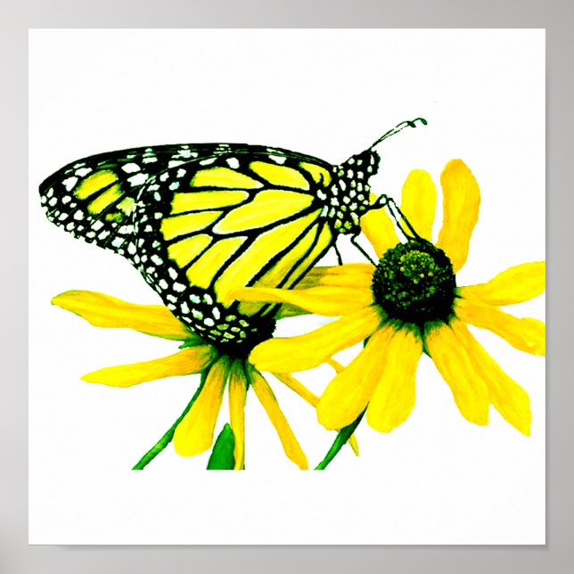 Solros Poster (Framsidan)