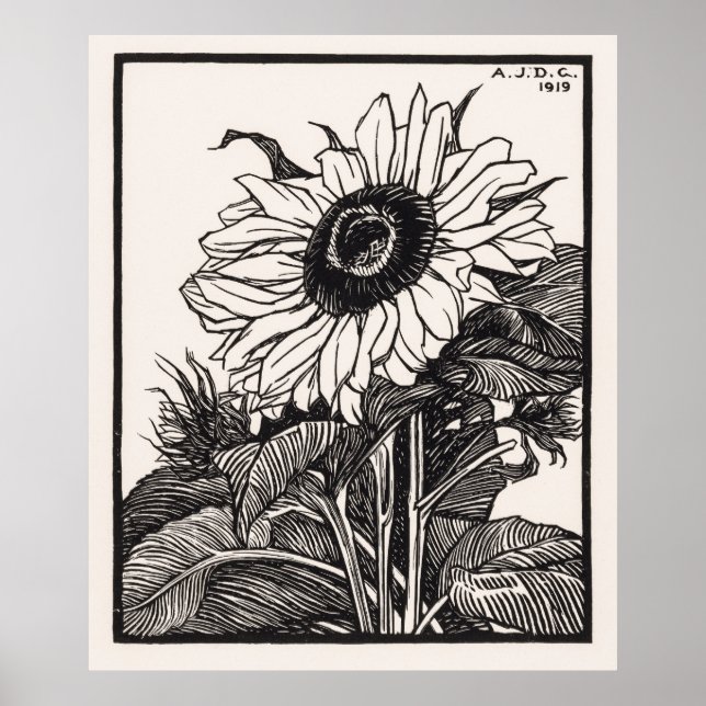 Solros Poster (Framsidan)
