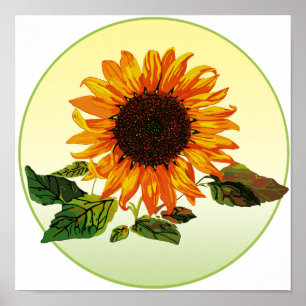Solros Poster