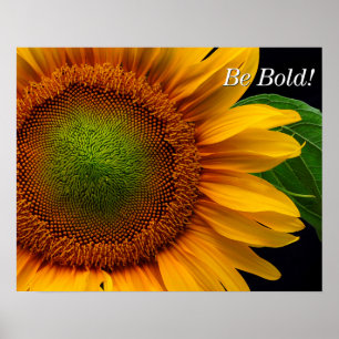 Solros Poster