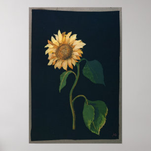 Solros Poster