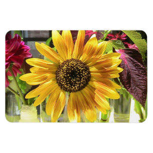 Solros Premium Flexi Magnet
