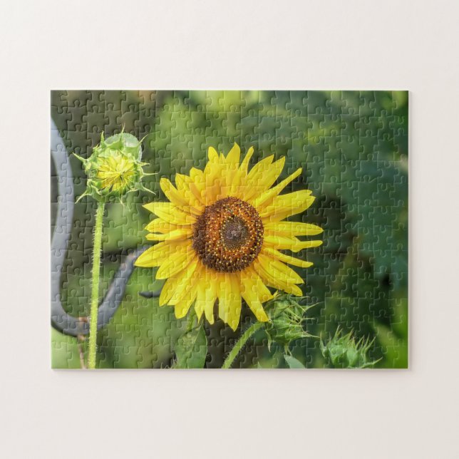 Solros Pussel (Horisontell)