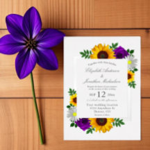 Solros Ro Daisy Hösten Blommigt Bröllop