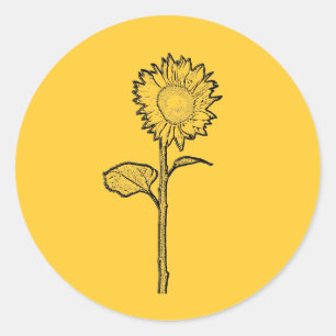 Solros Runt Klistermärke