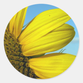 Solros Runt Klistermärke