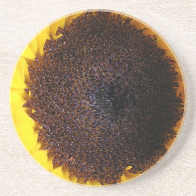 Solros Sandsten Underlägg (Framsidan)
