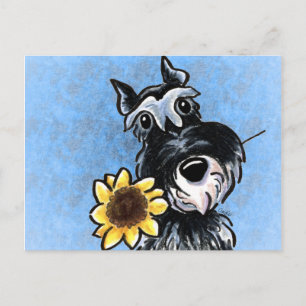 Solros Schnauzer off-Leash Art™ Vykort