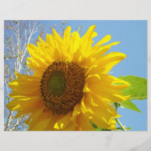 Solros Scrapbook papper Gul Blommig sommar