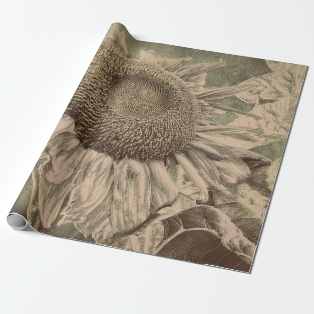 Solros Sepia Tone Brown Art Struktur Decoupage Presentpapper (Utrullad)