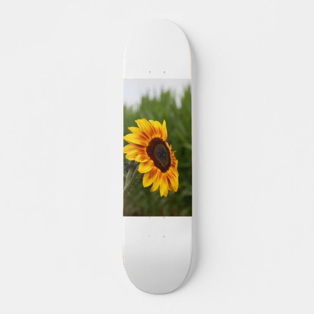 Solros skateboard (Framsida)