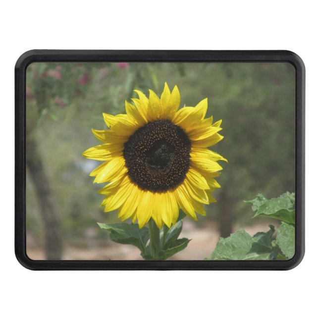 Solros Skydd För Dragkrok (Framsidan)