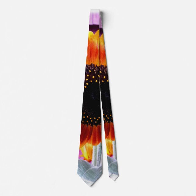 Solros Slips (Framsida)