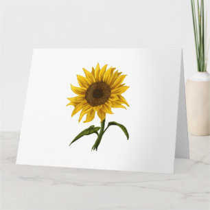 Solros Solsken Blommigt Vattenfärg Flower Kort